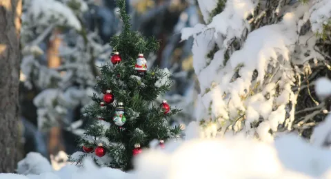 Joulun kulutus ja ekologisuus, muovikuusi lumihangessa