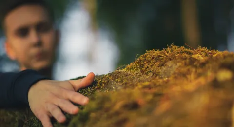 LUT University student in the forest