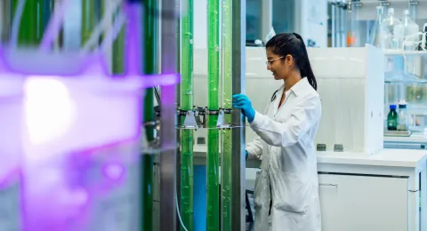 LUT University algae laboratory in Mikkeli 