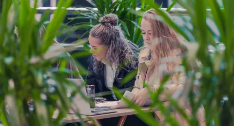 Kaksi opiskelijaa opiskelemassa.