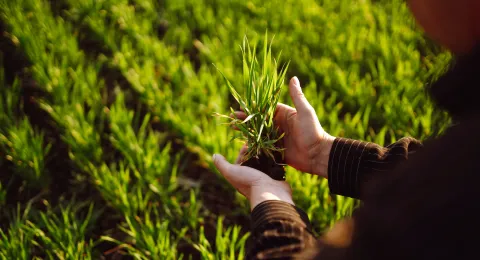 Master's Programme in Food Processing Technology