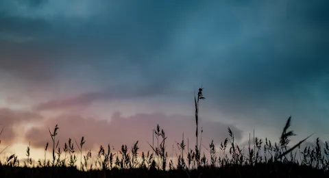 LUT University solves air pollution problems by means of physics, applied mathematics, separation and energy technology and software engineering. 