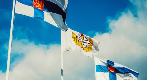 Finnish flags in the wind