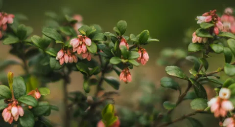 THE Impact Rankings 2024 uutiskuva 