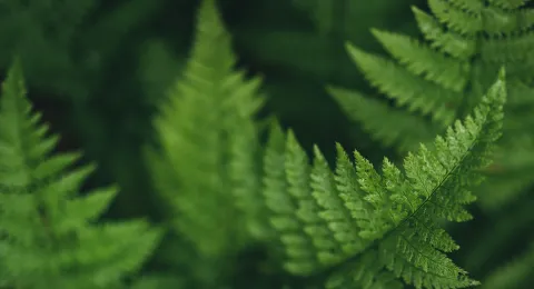 LUT University – Times Higher Education's Interdisciplinary Science Rankings