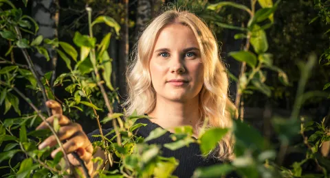 Henkilö katsoo suoraan kameraan oksien välistä.