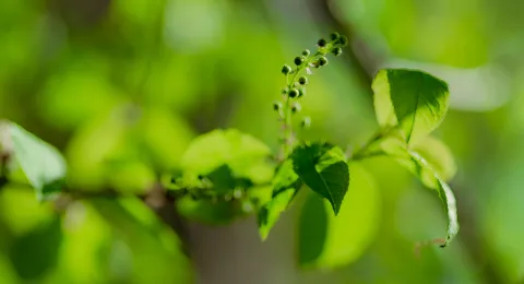 LUT sijoittui ilmastoteoissa maailman 30 parhaan yliopiston joukkoon THE Impact 2025 -rankingin mukaan. Yliopisto on myös maailman 63 parhaan yliopiston joukossa tutkimusviittausten määrässä tuoreimmassa QS World University Rankings 2026 -vertailussa. 