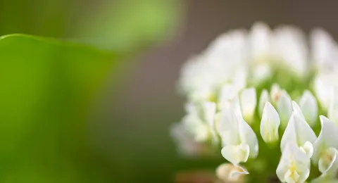 Regenerative practices aim to renew and improve both the environment and society. LUT Business School&#039;s professor Juha Väätänen and Doctoral Researcher Paavo Tertsunen shed light to the jungle of new terms.