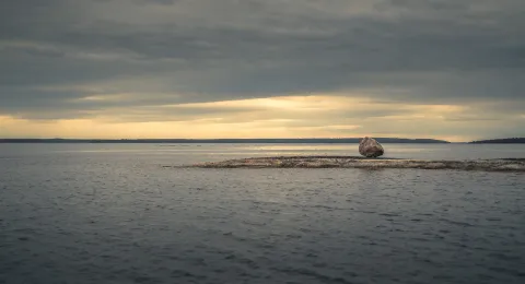 Lake landscape with a rock
