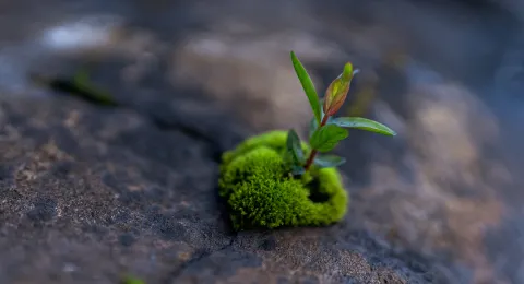 LUT-yliopisto – huomio kestävyyteen korkeakouluissa ja opetuksessa