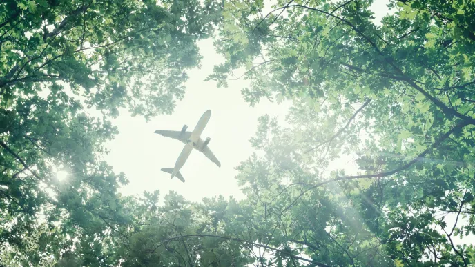 Forest aeroplane flying above 