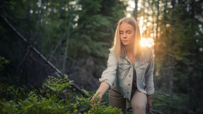 LUT University student walking in the woods at sunset