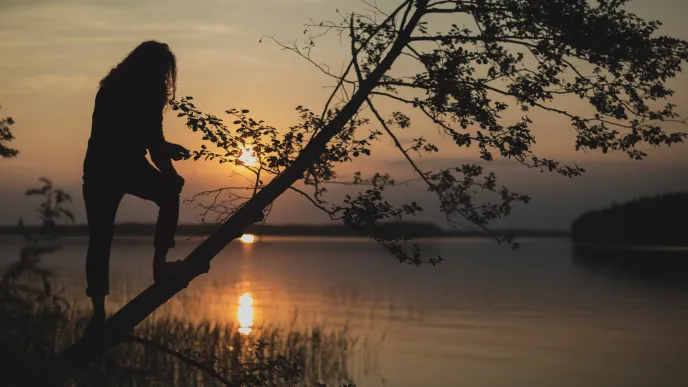 Student climbing a tree in sunset at lake Saimaa LUT University