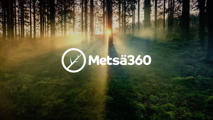 Metsä360 logo in forest