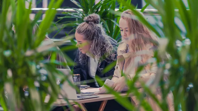 Kaksi opiskelijaa opiskelemassa.