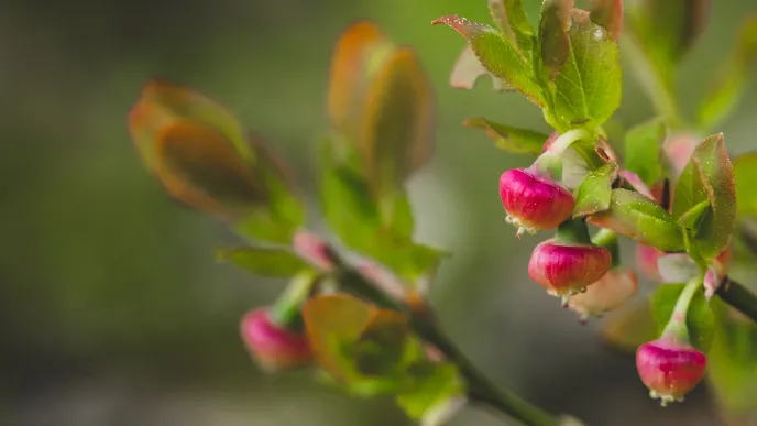 QS Ranking 2024 – LUT TOP 36