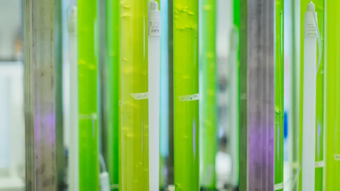 Analysing water in a laboratory.