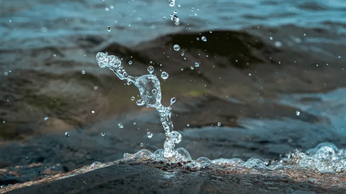 LUT University is known for the most wide-ranging water treatment research in Finland