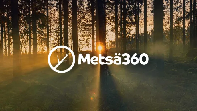 Aurinko laskee metsän taakse