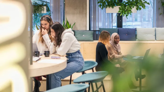 Ympäristötekniikan opiskelijoita.