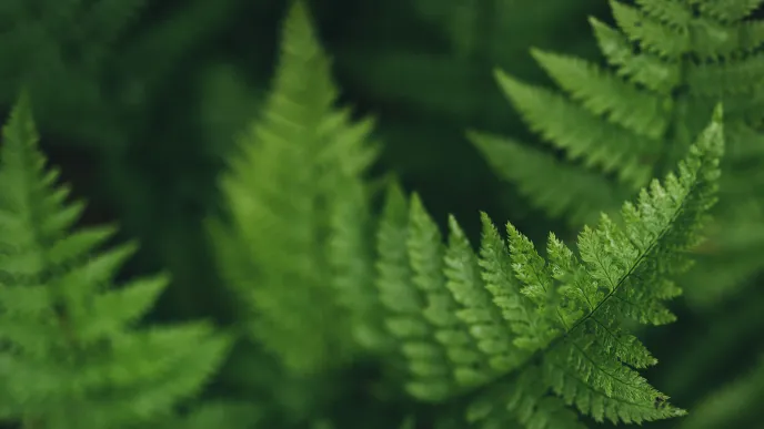 LUT University – Times Higher Education's Interdisciplinary Science Rankings