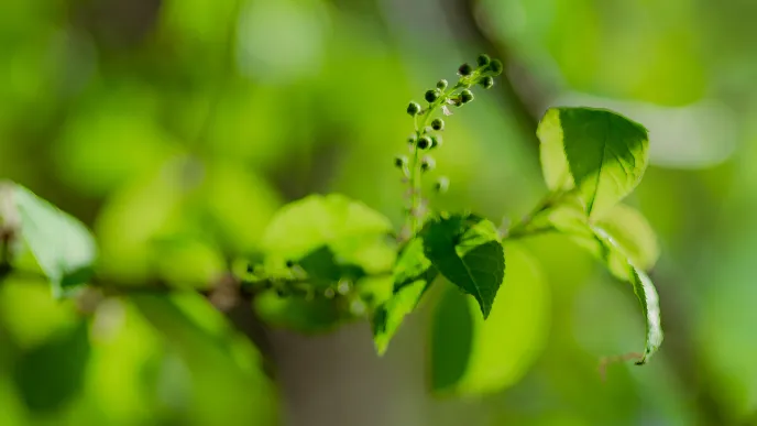 LUT made the world's top 30 for climate action in the THE Impact Rankings 2025. The university is also 63rd globally in citations per faculty member in the QS World University Rankings 2026. 