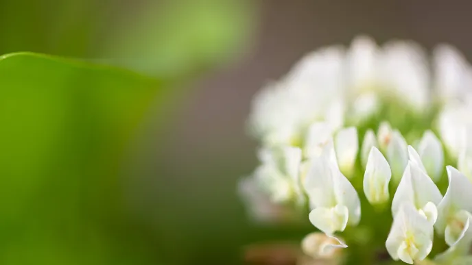 Regenerative practices aim to renew and improve both the environment and society. LUT Business School's professor Juha Väätänen and Doctoral Researcher Paavo Tertsunen shed light to the jungle of new terms.