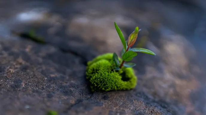 LUT-yliopisto – huomio kestävyyteen korkeakouluissa ja opetuksessa