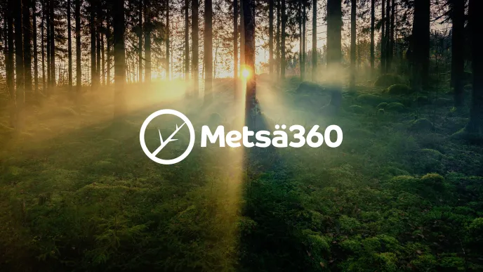 Aurinko laskee metsän taakse