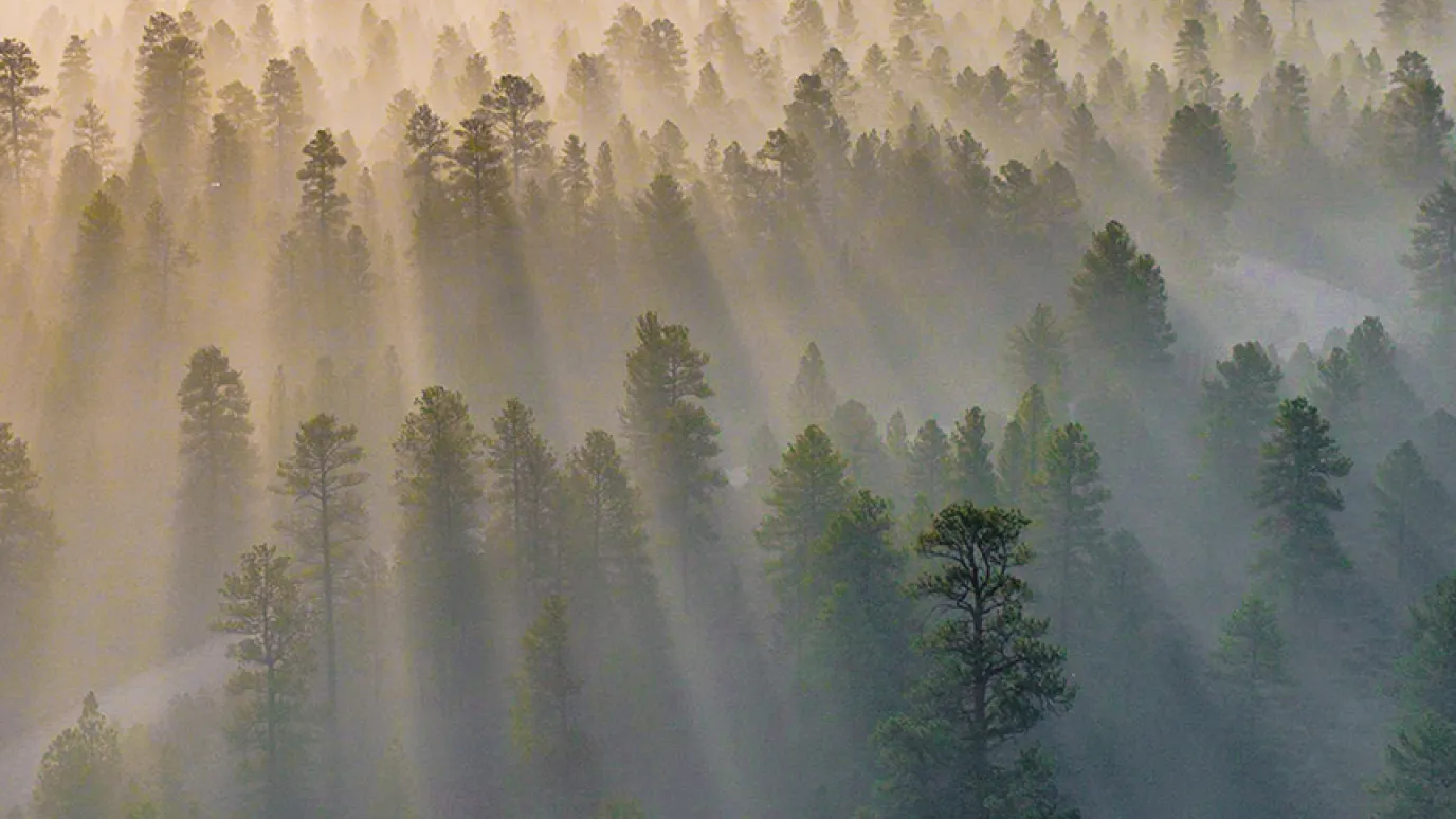 LUT-yliopiston viisi puhtaan ilman ratkaisua: ilmakuvassa metsää ja horisontissa auringon nousu.