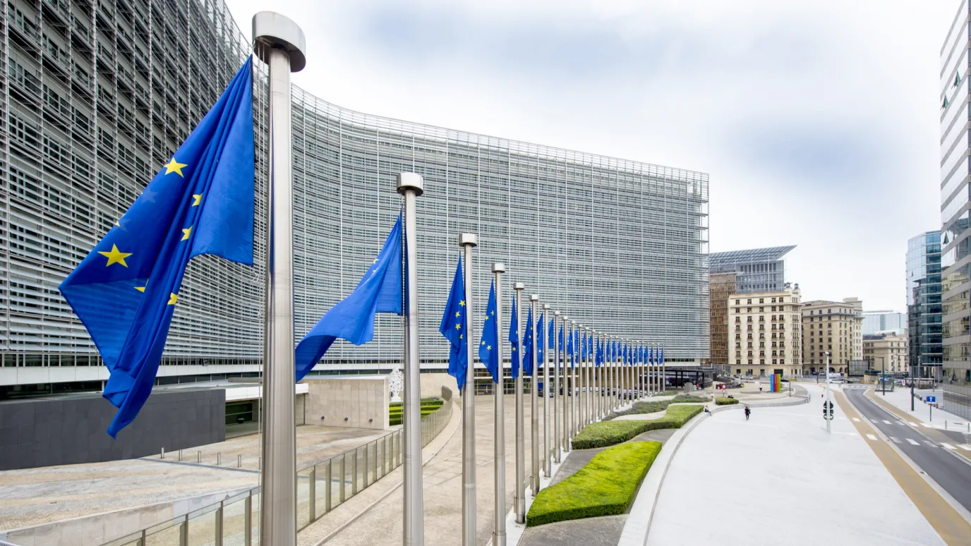 EU flags in a row