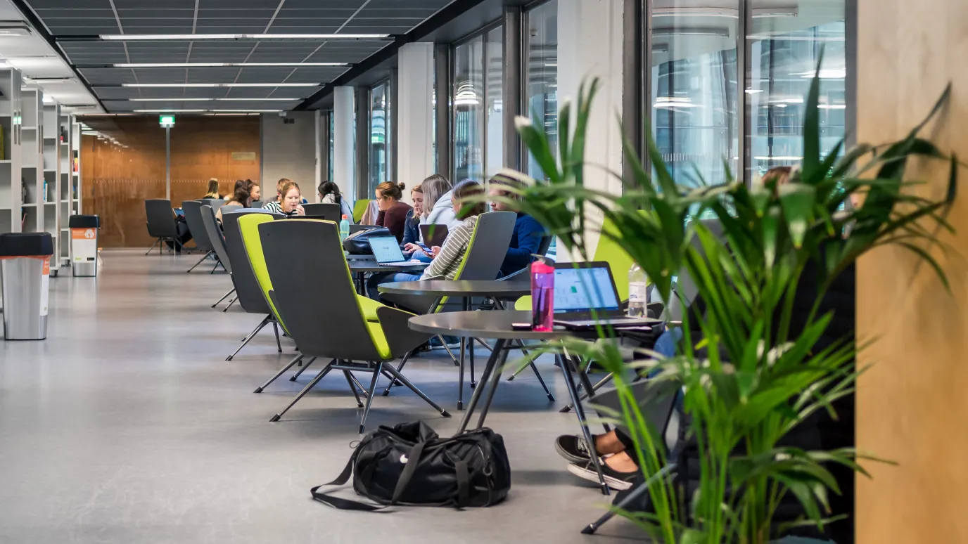 Opiskelijoita kirjastossa.