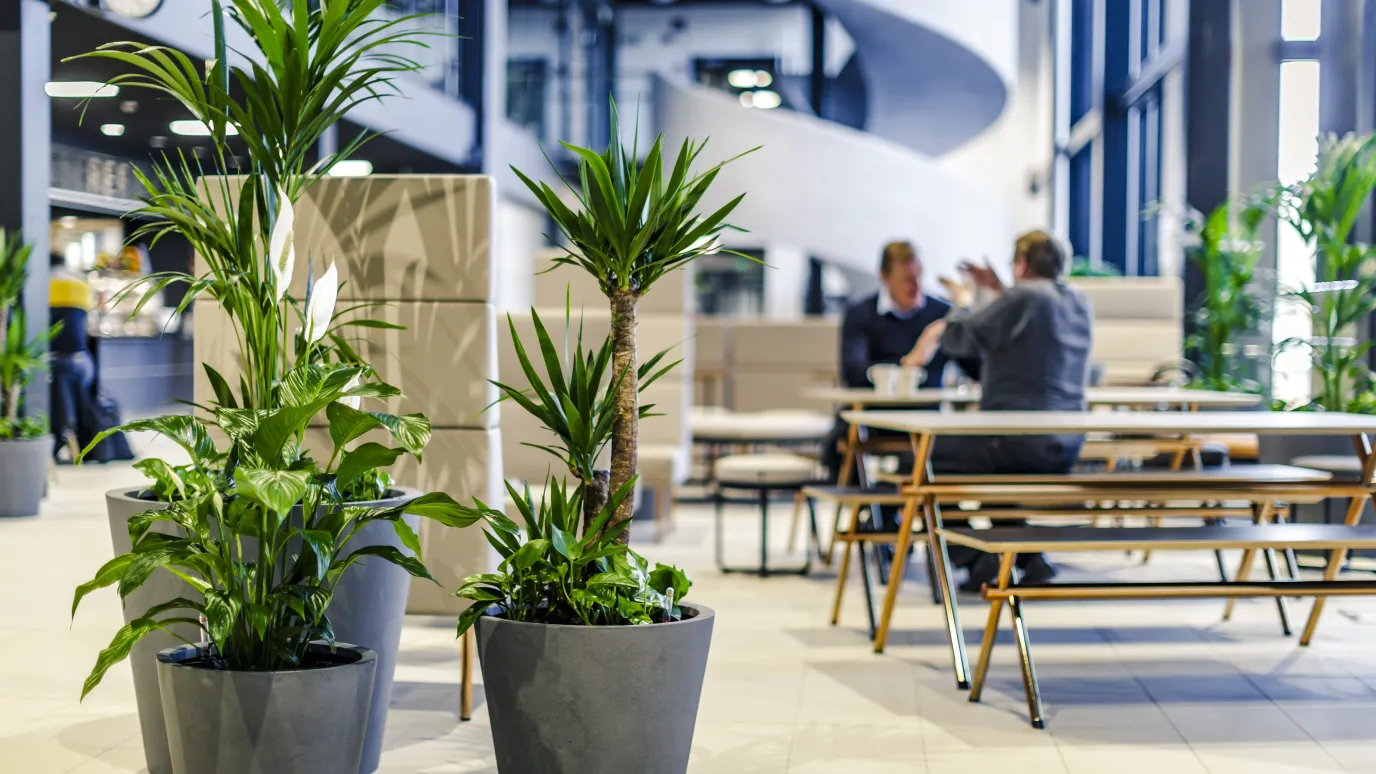 LUT University Campus Street Cafe