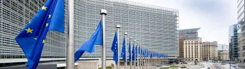 EU flags in a row