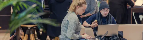Opiskelijoita työskentelemässä tietokoneilla