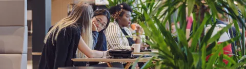 Opiskelijoita opiskelemassa kahvilassa.