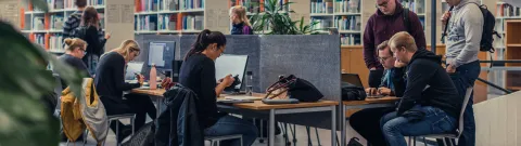 Opiskelijoita kirjastossa.