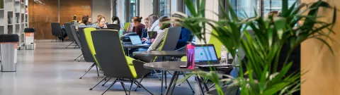 Opiskelijoita kirjastossa.