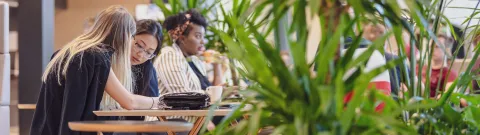 Opiskelijoita opiskelemassa kahvilassa.