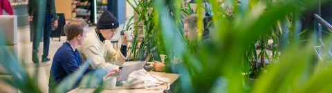 Opiskelijoita istumassa kahvilassa.