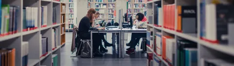 Opiskelijoita kirjastossa.