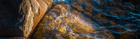 Vesi virtaa kirkaspohjaisessa järvessä.