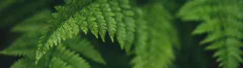 LUT brand guide hero