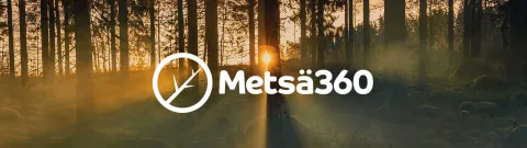 Metsää