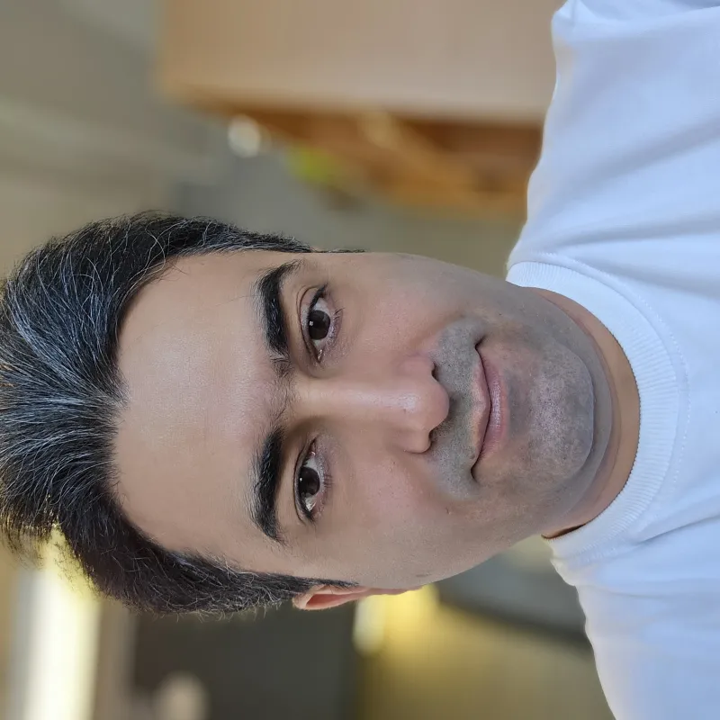Seyedehsan Rafiee