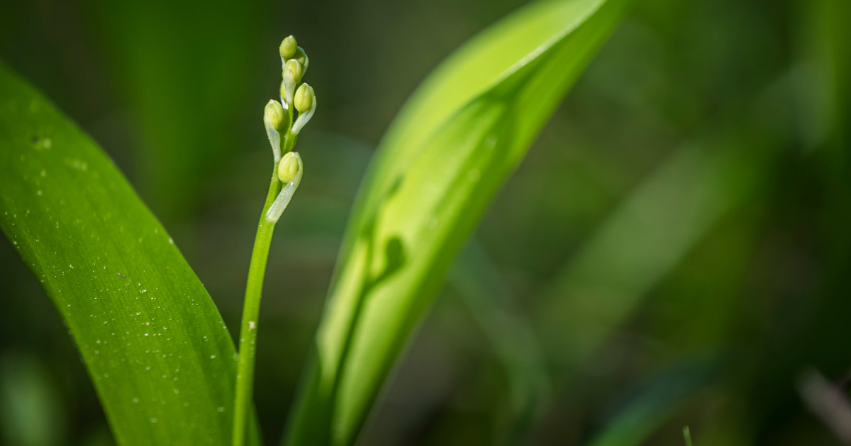 Xhamsterda oriq anal seks tomosha qiling