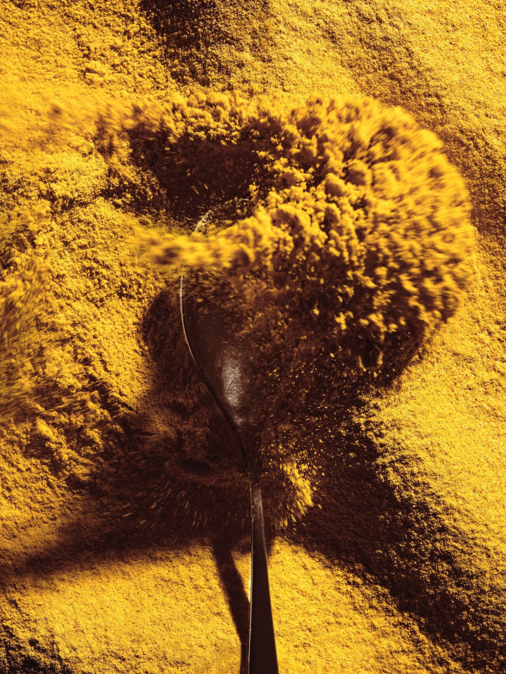 Solar Foods, Solein-proteiini, Solein protein