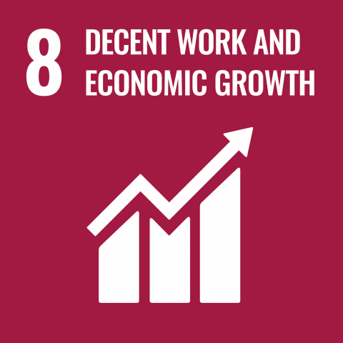 SDG8 Ihmisarvoinen työ ja talouskasvu