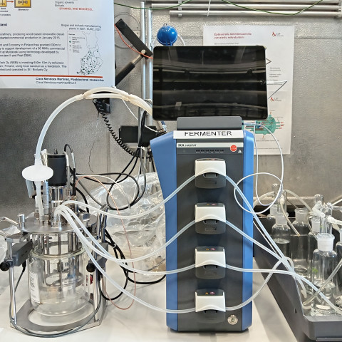 Fermentation test rig